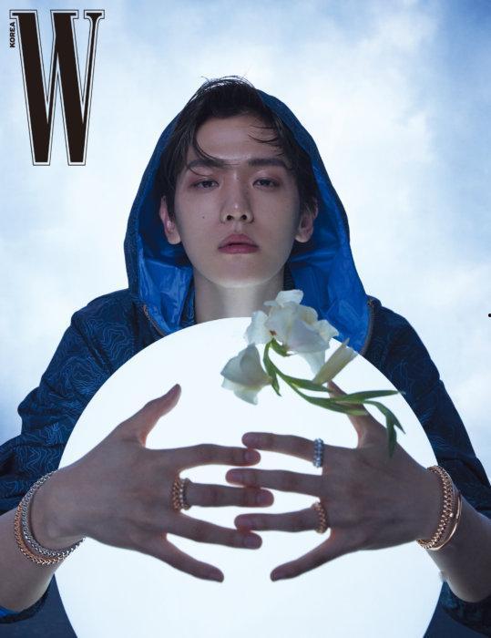 伯贤最新爆料,新作品背后的故事与灵感来源  第1张